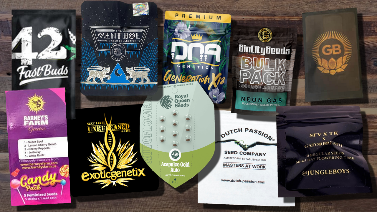 Best cannabis seeds for 2026 with top genetics