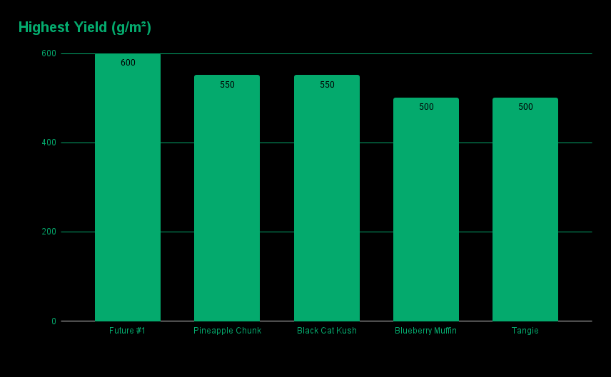 Bar chart of highest yielding cannabis strains for 2025