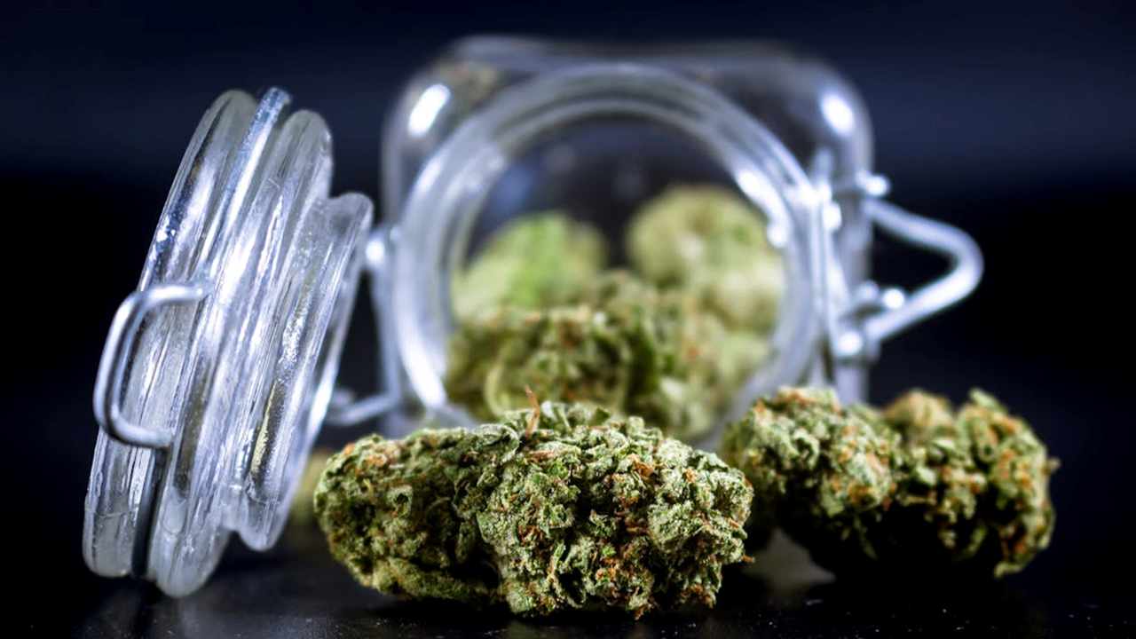 Cannabis buds with terpenes