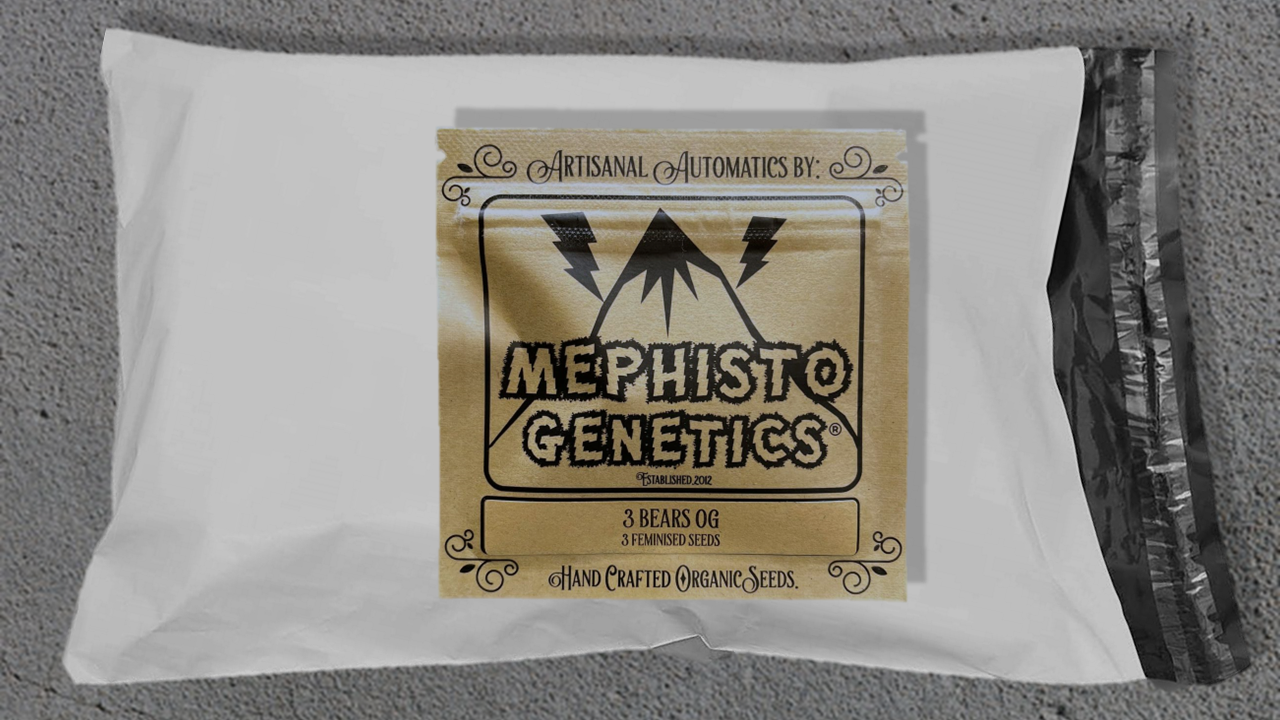 Mephisto Genetics’ gear—ready to grow loud in 2025!