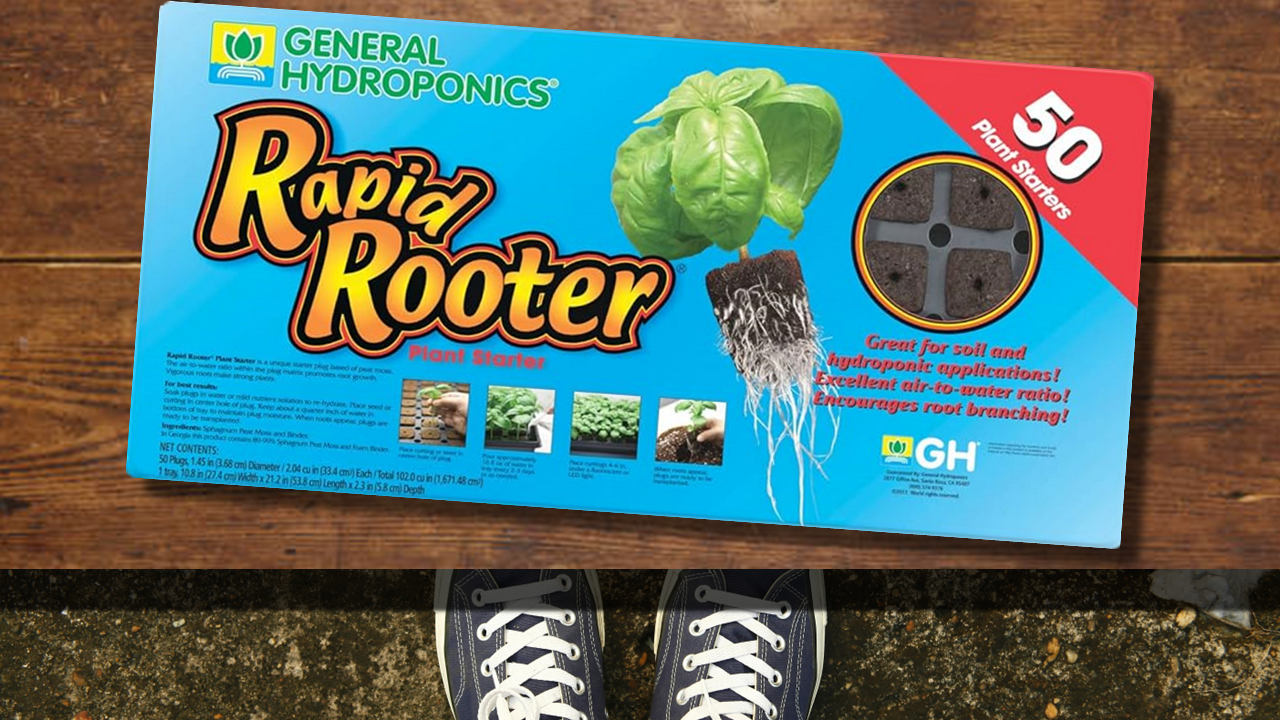 Rapid Rooter package—ready to grow loud in 2025!