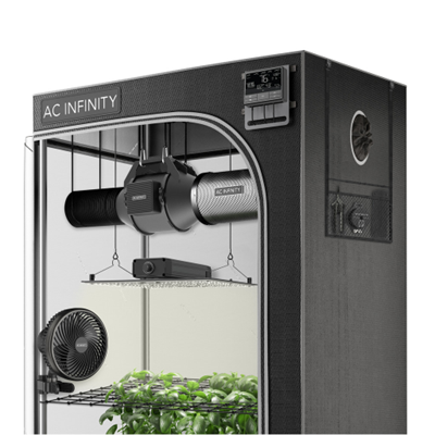 Cannabis grow tent sizing