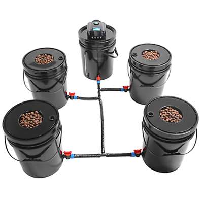 Hydroponics setup for cannabis