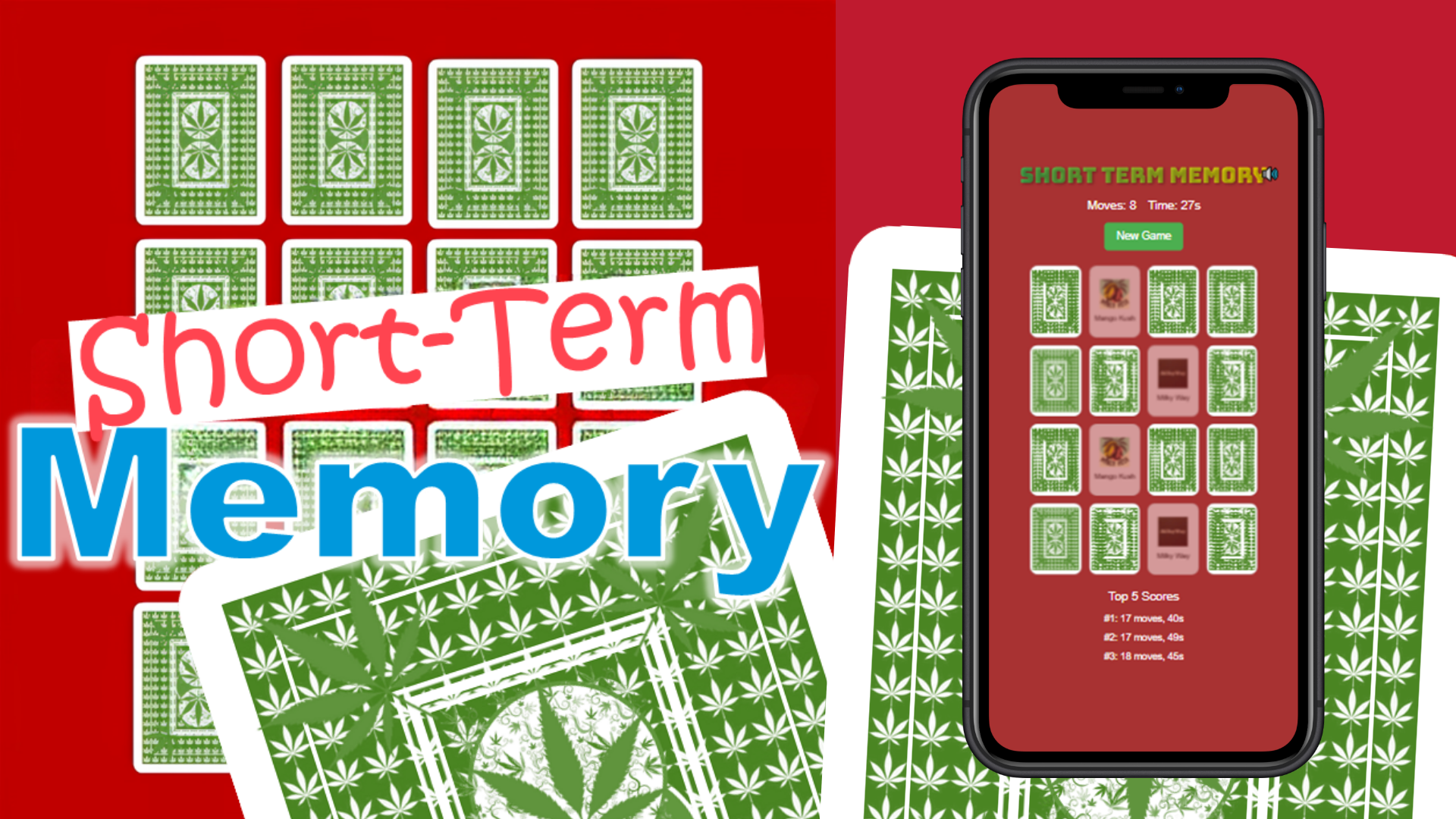 Short-Term Memory